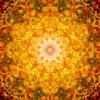 Thumbnail of post image 158