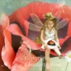 Thumbnail of post image 066