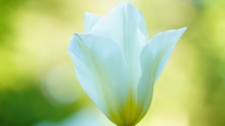 Thumbnail of post image 046